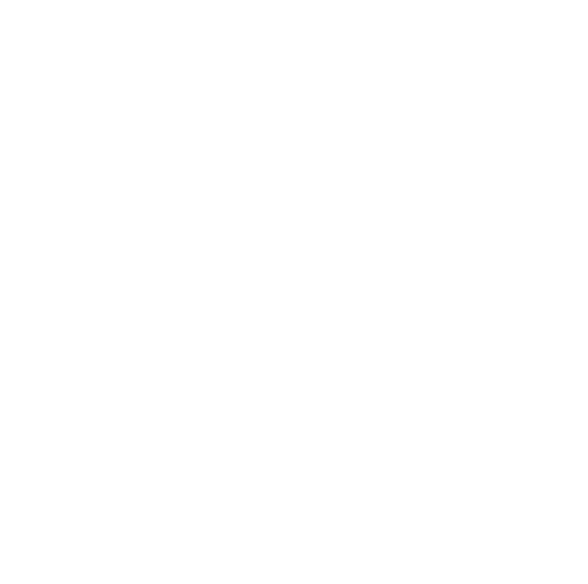 Styly Logo